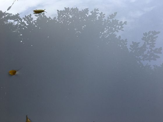云文档权限管理：分享链接有效期与查看权限设置