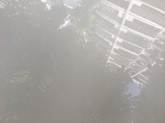 搜索引擎全部历史记录怎么恢复