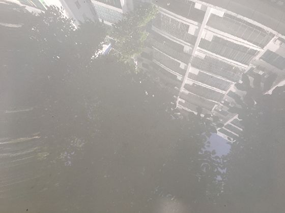 当代年轻人消费观念变化：趋势与影响因素分析