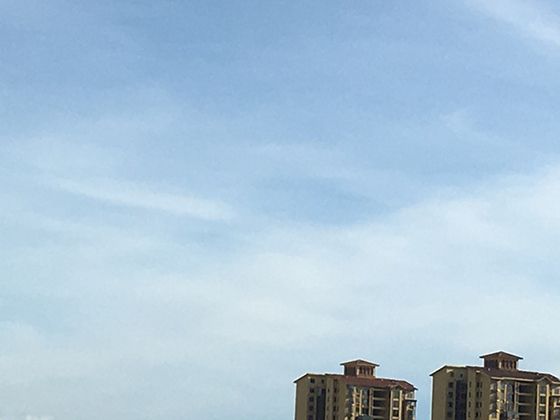 耳廓狐皮肤的红外辐射特性：微纹理仿生与被动式降温建筑涂料的开发应用