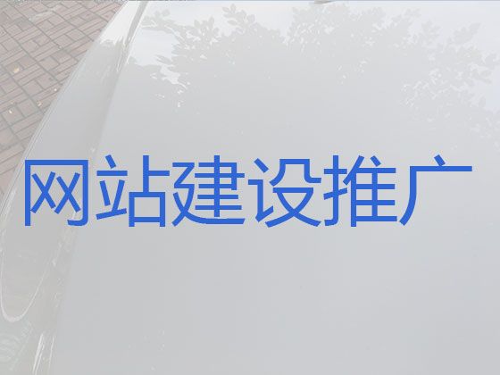 临沧市商城网站制作设计&app开发，定制开发