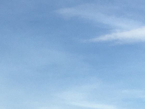 雌蚊子的寿命一般是多少天