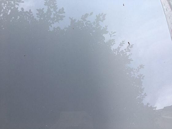 午休后更累？可能是你没睡对！科学午睡时间表来了