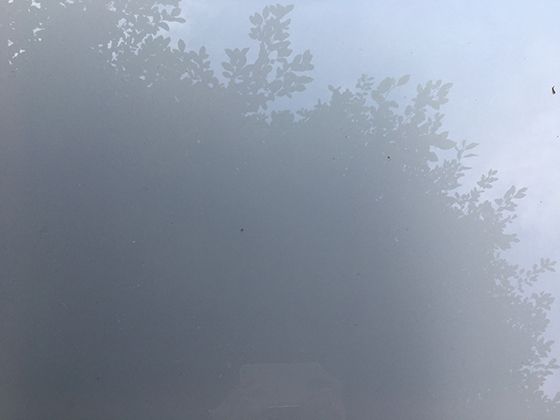 被蜜蜂蛰了要怎么处理