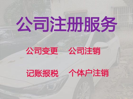 昌都市公司执照代办服务#代记账，收费透明