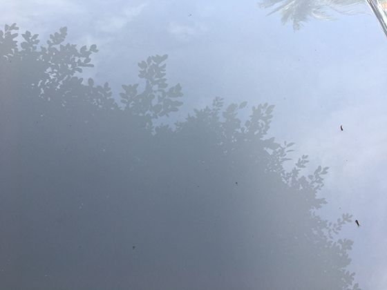 苏州港的长江优势：内河大集装箱港，港务如何赋能长江经济带