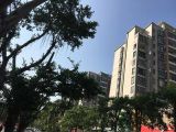 慈溪市住房抵押贷款电话&房子抵押贷款怎么办理，生意贷款