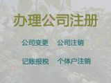 株洲市公司营业执照代办服务-财务代理记账，专业代办服务，价格合理
