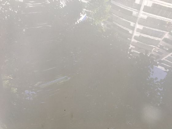 怎样利用碎片时间学习新知识？