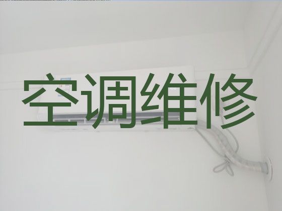 绍兴空调维修保养-空调加冰种，快速上门维修