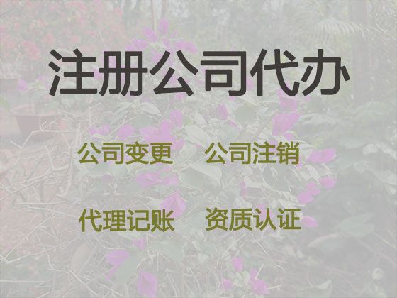 宝鸡市代办个体户注册-代理记账报税，全程代办，这里靠谱