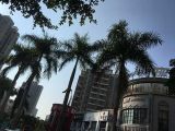 成都市锦江区办理大额贷款&门店抵押贷款，正规抵押担保公司