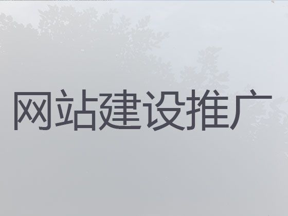 苏州企业网站搭建%crm系统开发，模板建站