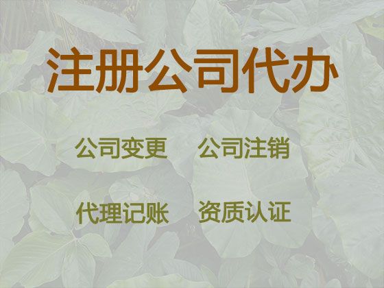 三亚市个人独资企业注册代办#代记账，全程代办，收费透明