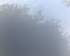 办理护照需要什么证件和要求