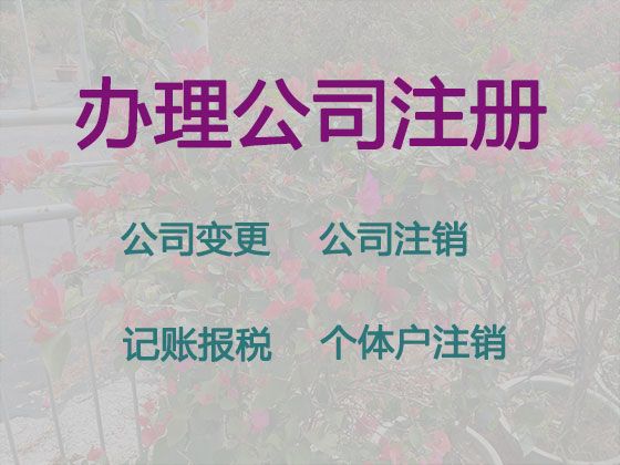 长沙市公司营业执照补办@代理记账报税服务，价格透明