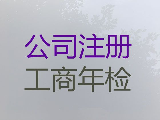丹阳市ICP/EDI经营许可证代办&个体户营业执照代办，全程代办，快速办理